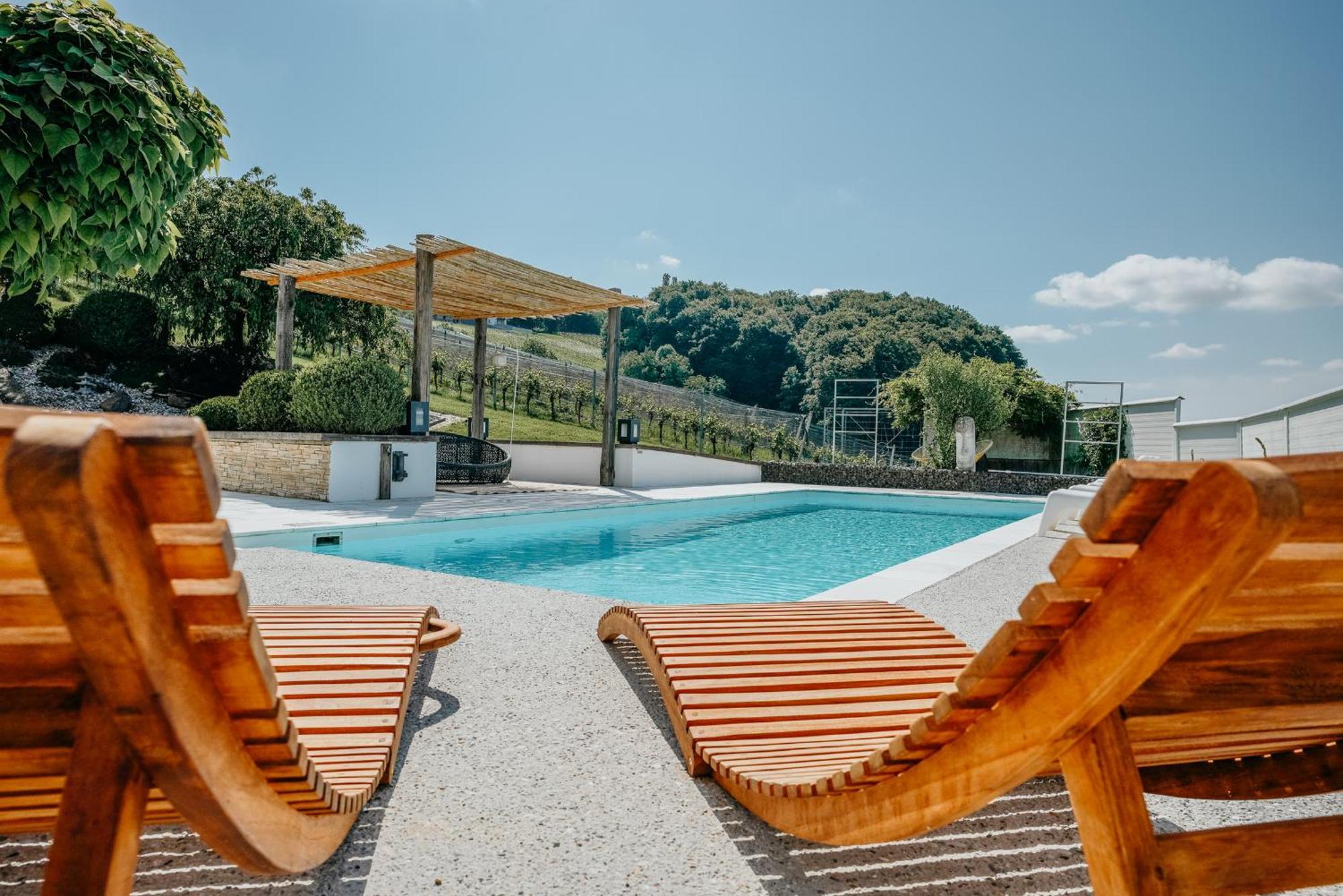 Weingut Holler Chalet Weingarten Spielfeld Buitenkant foto
